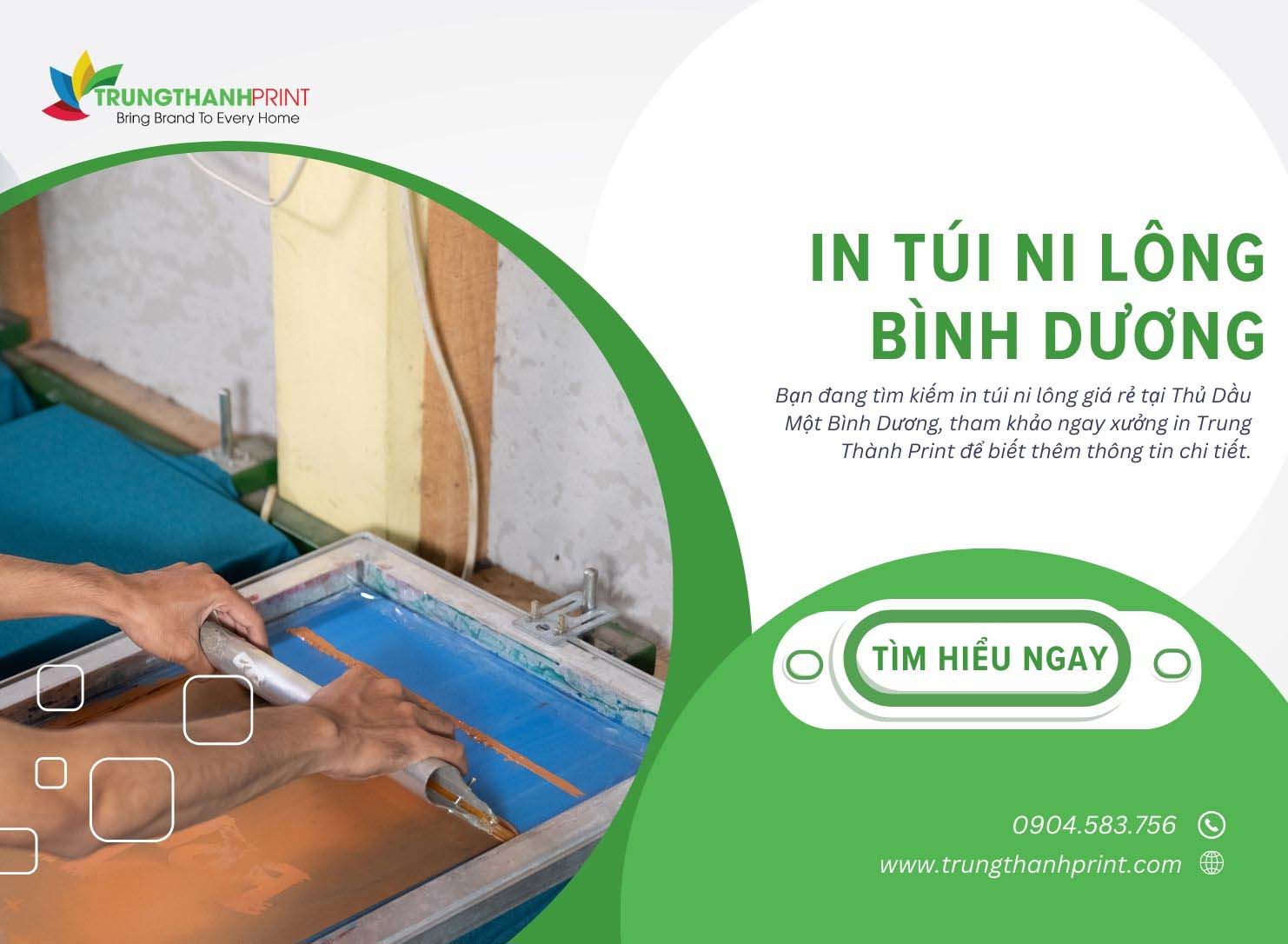 In túi ni lông Thủ Dầu Một Bình Dương