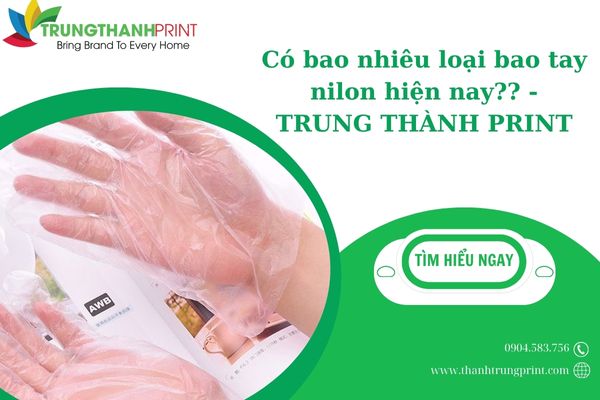 Top 4 loại Bao Tay Nilon