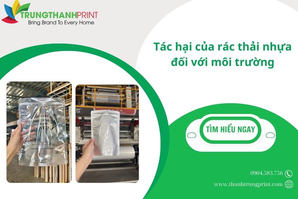 Nên chọn túi zip bạc hay túi zip nhựa?