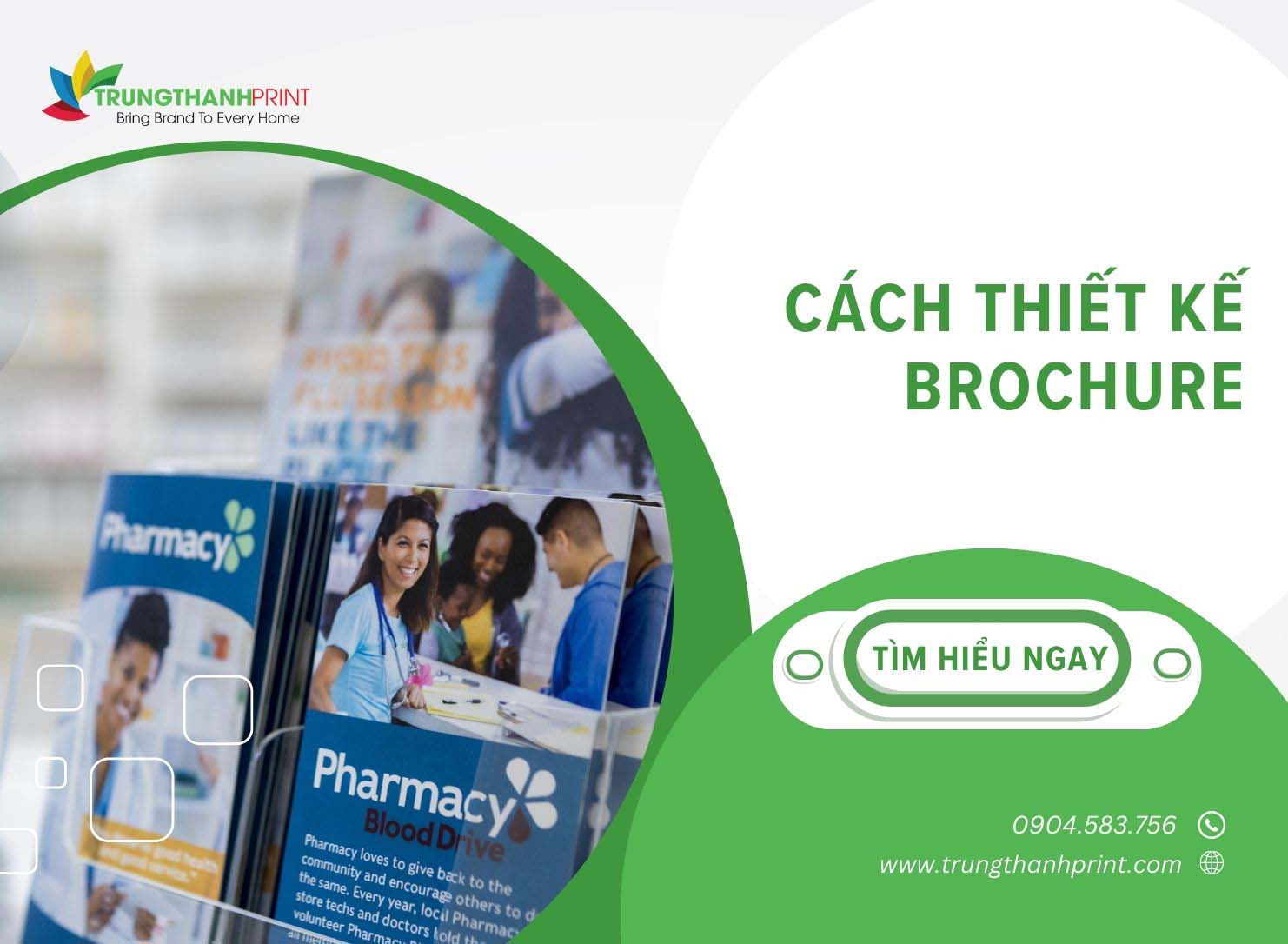 Hướng Dẫn Thiết Kế Brochure Đẹp, Chuẩn Nhất